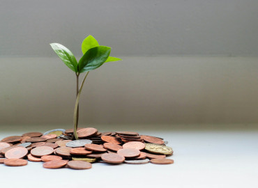 кредитная история после банкротства физлица: когда обновляется, как улучшить - фото - 1
